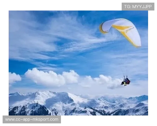 世界滑板学校在青训中设立等级认证与职业路径标准，世界滑板协会
