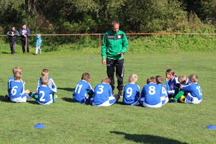 mk sport-体育新闻中心开展体育短视频创作能力培训，如何创意体育类短视频